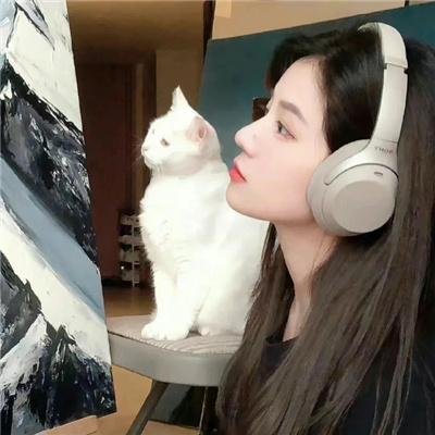 甜米奇竞选总统